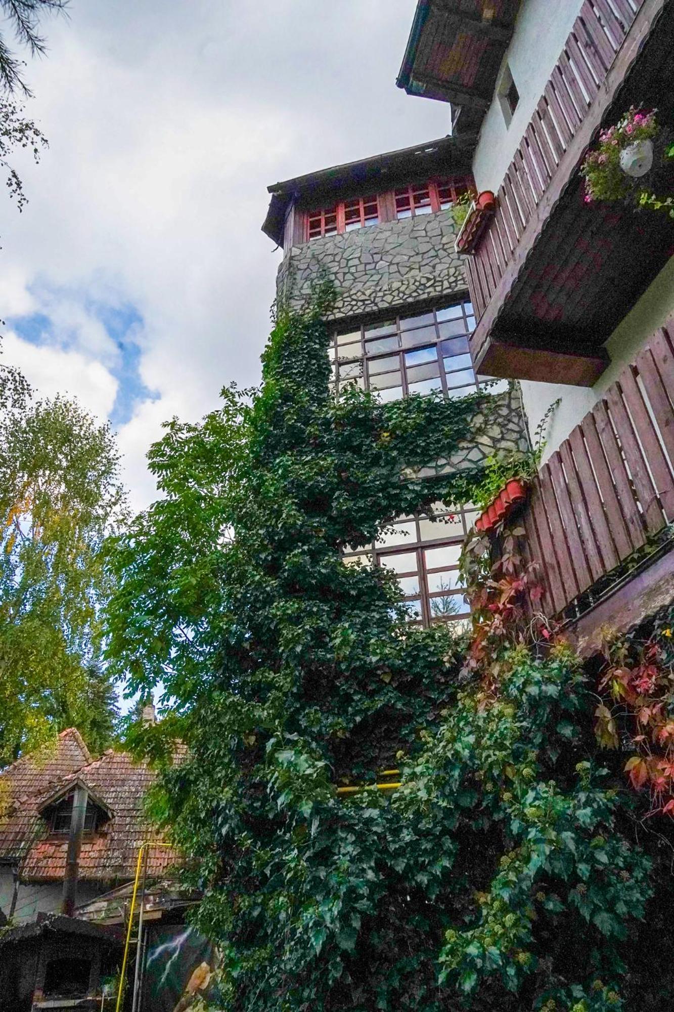 Pensiune Turistica Milcov-Vladet Predeal Exterior foto